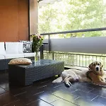 Bed & Breakfast Botton D'oro Basiglio
